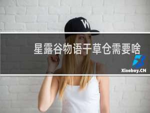 星露谷物语干草仓需要啥