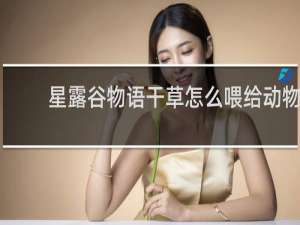 星露谷物语干草怎么喂给动物