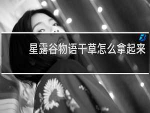 星露谷物语干草怎么拿起来