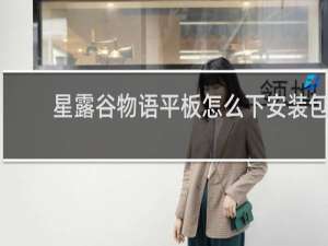 星露谷物语平板怎么下安装包