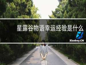 星露谷物语幸运经验是什么