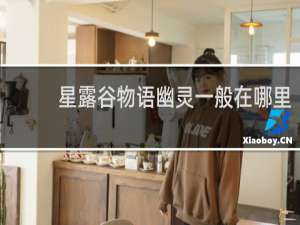 星露谷物语幽灵一般在哪里