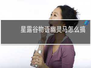 星露谷物语幽灵马怎么搞