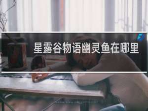 星露谷物语幽灵鱼在哪里