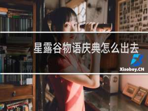 星露谷物语庆典怎么出去