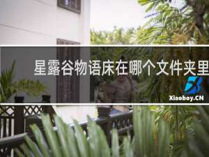 星露谷物语床在哪个文件夹里