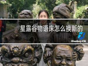 星露谷物语床怎么换新的