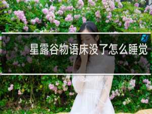 星露谷物语床没了怎么睡觉