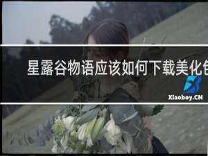 星露谷物语应该如何下载美化包