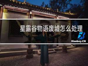 星露谷物语废墟怎么处理