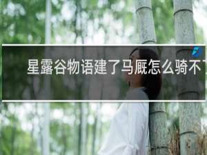 星露谷物语建了马厩怎么骑不了