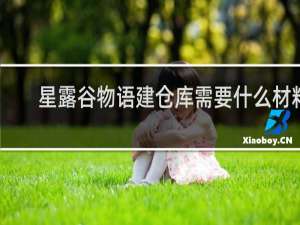 星露谷物语建仓库需要什么材料
