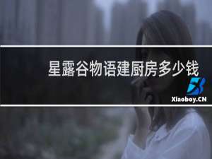 星露谷物语建厨房多少钱