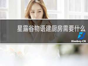 星露谷物语建厨房需要什么