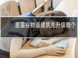 星露谷物语建筑先升级哪个