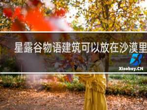 星露谷物语建筑可以放在沙漠里吗