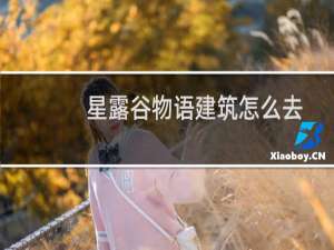 星露谷物语建筑怎么去