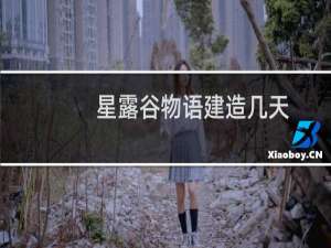 星露谷物语建造几天