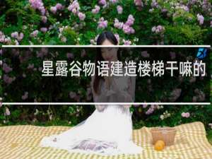 星露谷物语建造楼梯干嘛的