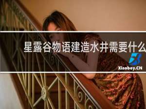 星露谷物语建造水井需要什么