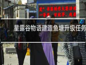 星露谷物语建造鱼塘升级任务