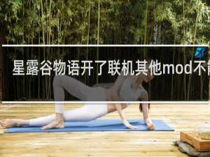 星露谷物语开了联机其他mod不能用