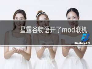 星露谷物语开了mod联机