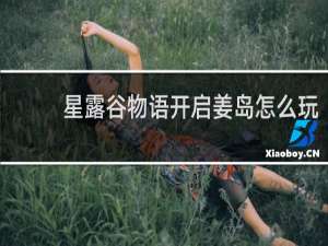 星露谷物语开启姜岛怎么玩