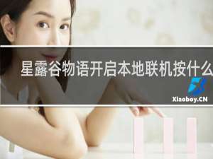 星露谷物语开启本地联机按什么键