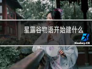 星露谷物语开始建什么