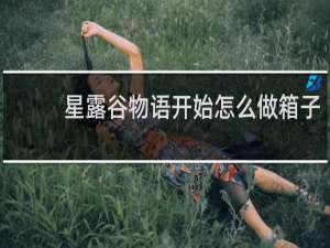 星露谷物语开始怎么做箱子