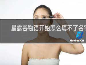 星露谷物语开始怎么填不了名字