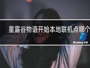 星露谷物语开始本地联机点哪个键