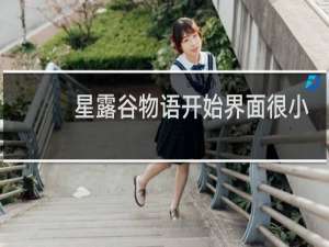 星露谷物语开始界面很小