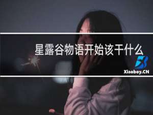 星露谷物语开始该干什么