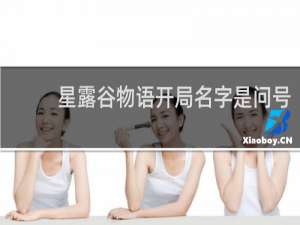 星露谷物语开局名字是问号