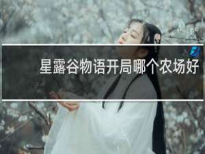 星露谷物语开局哪个农场好