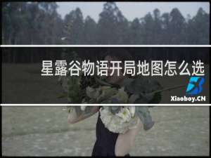星露谷物语开局地图怎么选