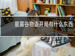 星露谷物语开局有什么东西