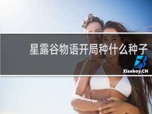 星露谷物语开局种什么种子