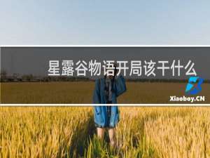 星露谷物语开局该干什么