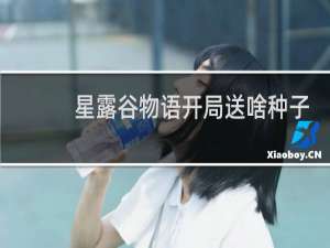 星露谷物语开局送啥种子