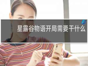 星露谷物语开局需要干什么