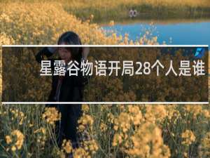 星露谷物语开局28个人是谁