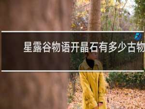 星露谷物语开晶石有多少古物