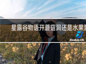 星露谷物语开蘑菇洞还是水果洞