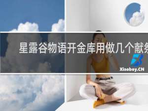 星露谷物语开金库用做几个献祭