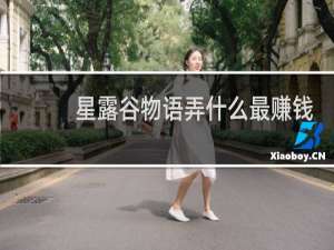 星露谷物语弄什么最赚钱