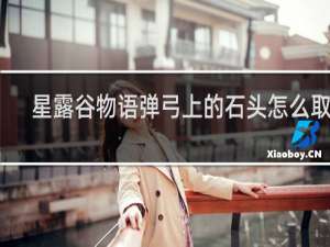 星露谷物语弹弓上的石头怎么取下