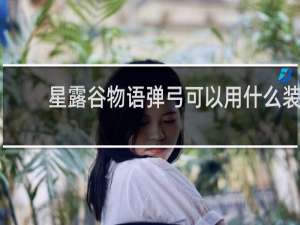 星露谷物语弹弓可以用什么装